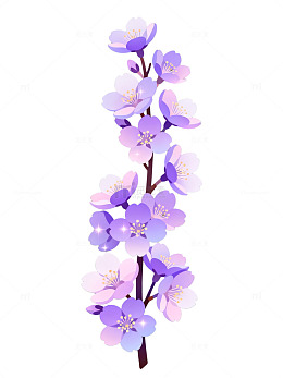 插画风紫色樱花枝条设计素材