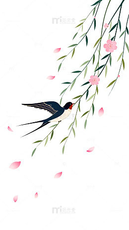 国风手绘燕子柳枝花落设计素材