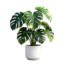 极简风绿植盆栽素材