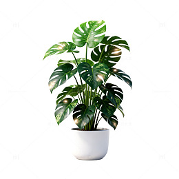 极简风绿植盆栽素材