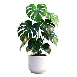 极简风绿植盆栽素材