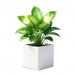 极简风绿植盆栽3D渲染设计素材