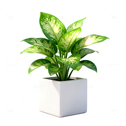 极简风绿植盆栽3D渲染设计素材