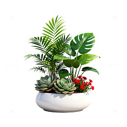 极简风绿植盆栽3D渲染设计素材