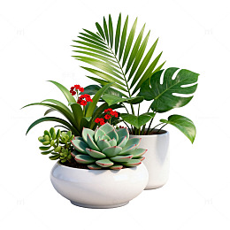 清新风绿植盆栽插画设计素材