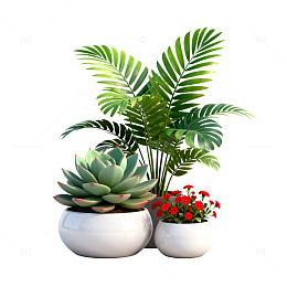 简约风绿植盆栽装饰设计素材
