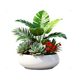 极简风绿植盆栽装饰设计素材