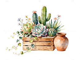 水彩风多肉植物盆栽插画设计素材