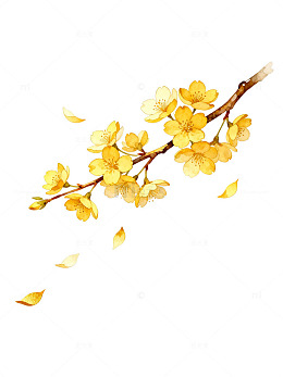 水彩风金色樱花枝手绘插画素材