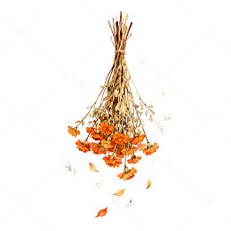 手绘风干花束橙色花朵设计素材
