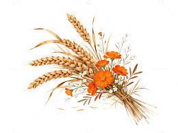 手绘风麦穗橙花干花束设计素材