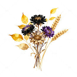 水彩风干花束植物插画设计素材