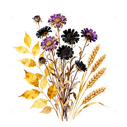 干花风格秋日植物插画设计素材