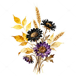 水彩风干花植物手绘插画设计素材