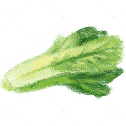 秋季大白菜绿色涂鸦手绘卡通蔬菜叶菜