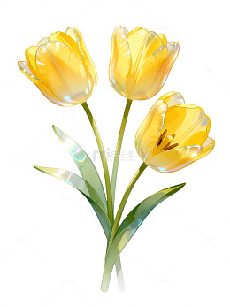 水彩风黄色郁金香花卉插画素材