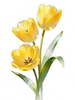 透明风格黄色郁金香花卉设计素材