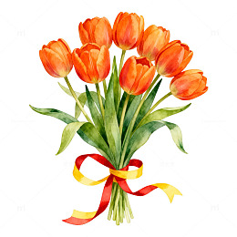水彩风橙色郁金香花束插画素材