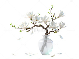 极简风玉兰花枝玻璃花瓶设计素材
