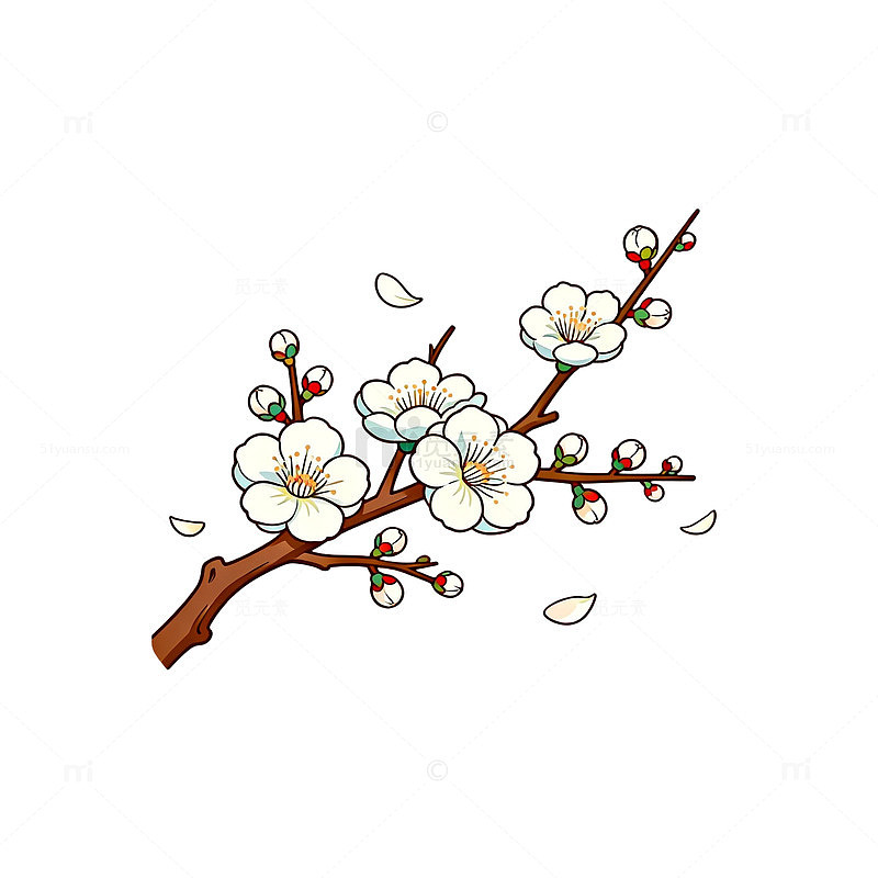 手绘风梅花枝条花卉插画设计素材