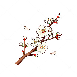 手绘风梅花枝条插画设计素材
