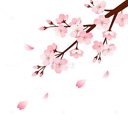 插画风樱花枝条飘落花瓣设计素材