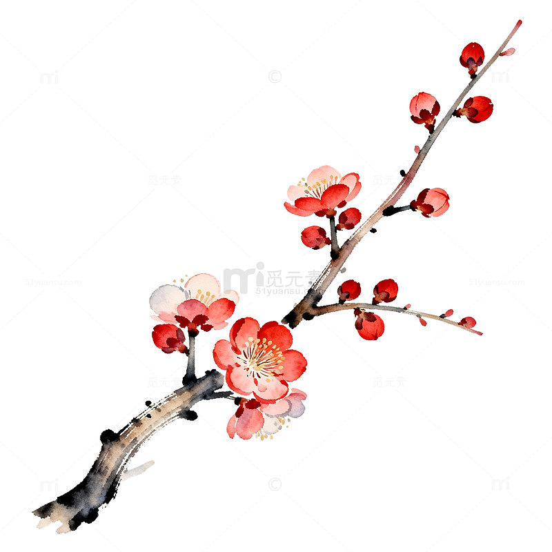水墨风梅花枝条手绘插画设计素材