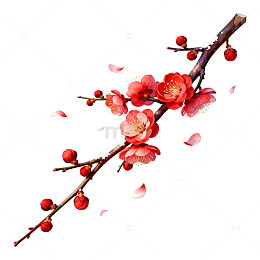 水彩风梅花枝条手绘花卉设计素材