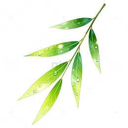 水彩风绿叶枝条手绘植物设计素材