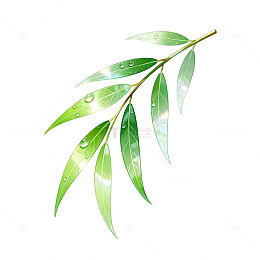 清新风绿叶水珠插画设计素材