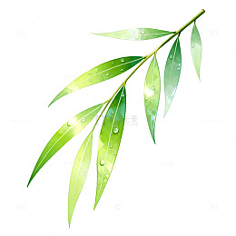 水彩风绿叶枝条植物插画设计素材