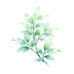 水彩风清新绿叶植物手绘设计素材