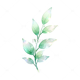 水彩风绿叶植物手绘插画设计素材