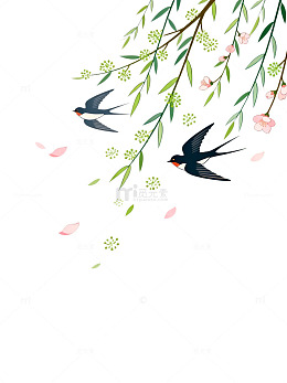 插画风春日燕子柳枝设计素材