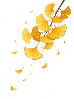 手绘风秋日银杏落叶插画设计素材