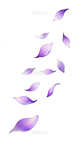 水墨风紫色花瓣飘落动态设计素材