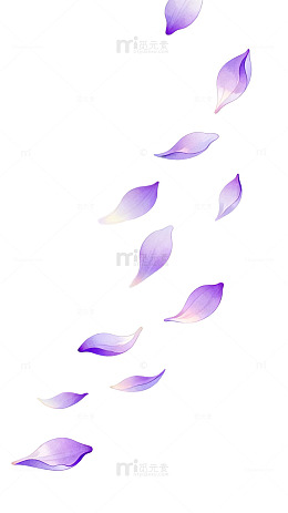 渐变风紫色花瓣飘落矢量素材