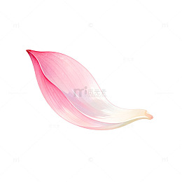 水彩风粉色花瓣手绘插画设计素材