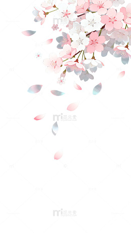 插画风樱花飘落唯美背景设计素材