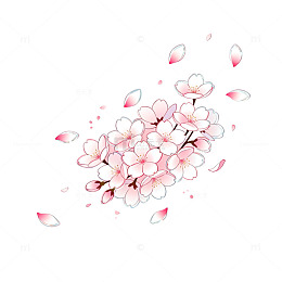手绘风樱花飘落唯美插画设计素材