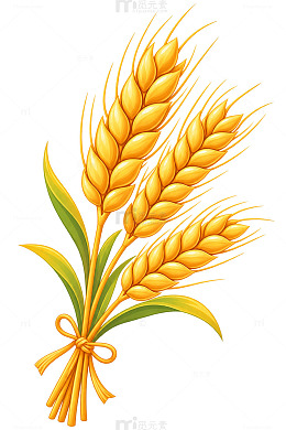 矢量风丰收麦穗插画设计素材