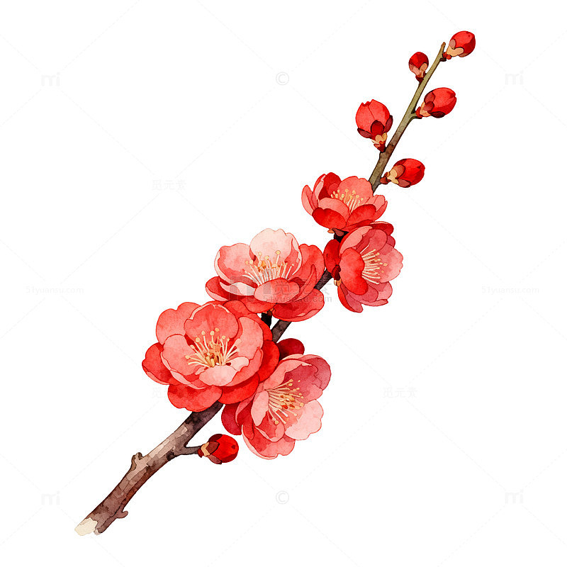 国风水墨梅花枝手绘花卉设计素材