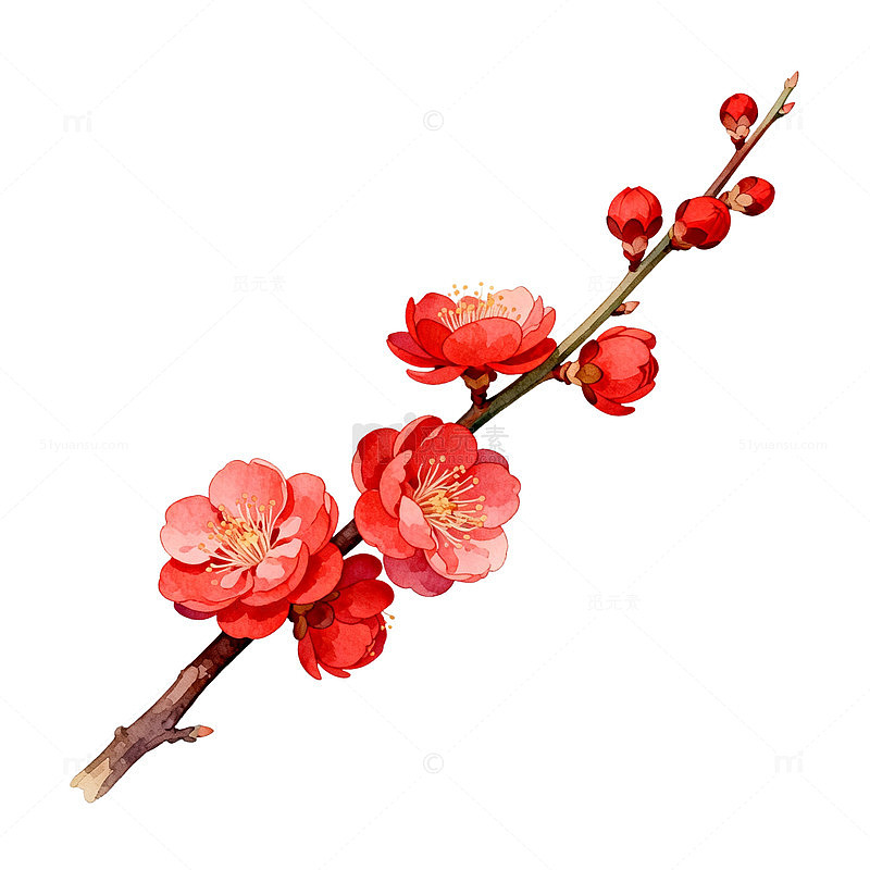 水彩风梅花枝条手绘花卉设计素材