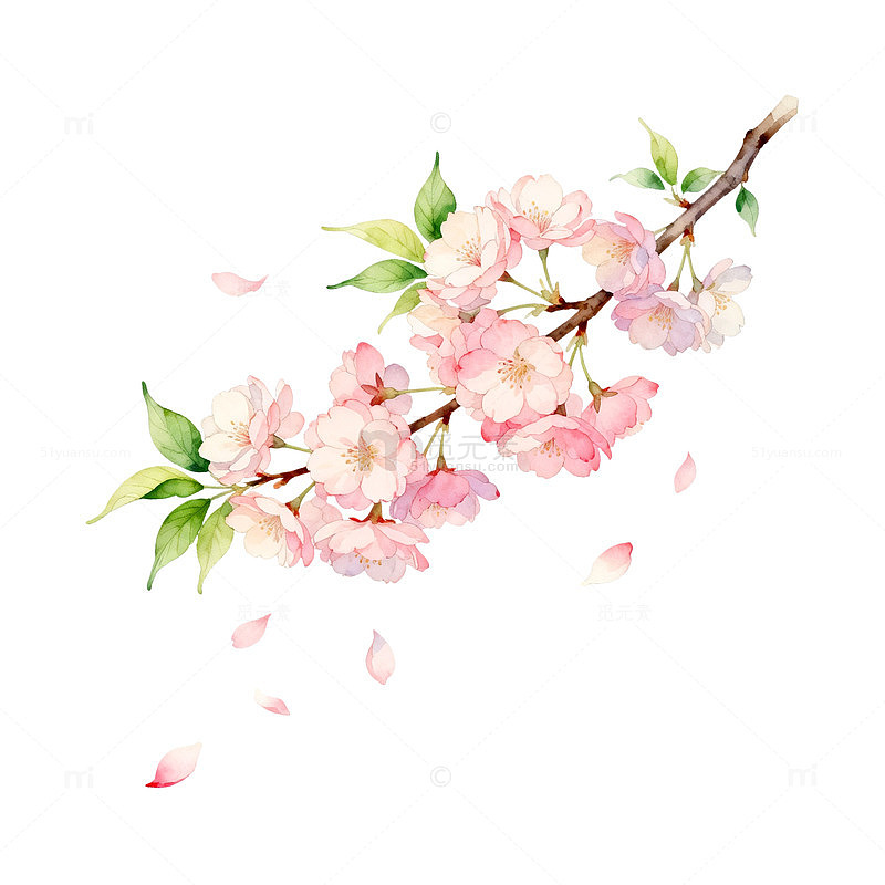 水彩风樱花枝条手绘花卉设计素材