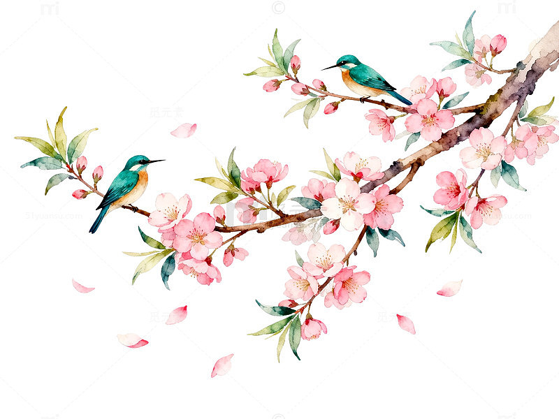 水彩风春日樱花小鸟插画设计素材