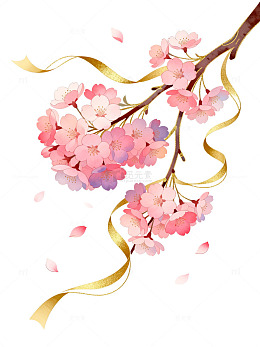 水彩风樱花枝条金色丝带设计素材