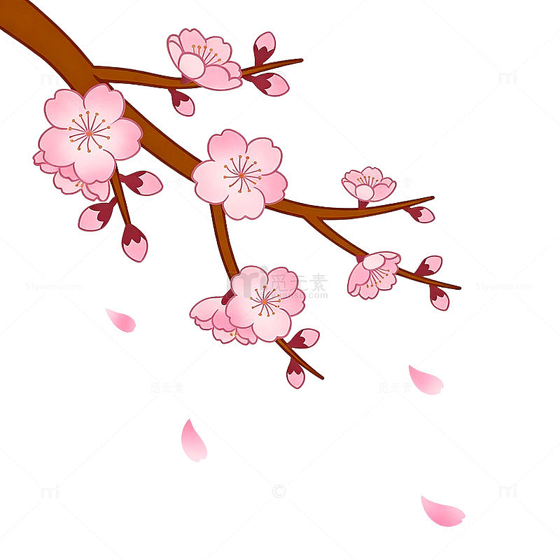 卡通风樱花枝条手绘花瓣飘落设计素材