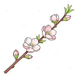 手绘风桃花枝条插画设计素材