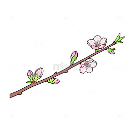 手绘风桃花枝条插画设计素材
