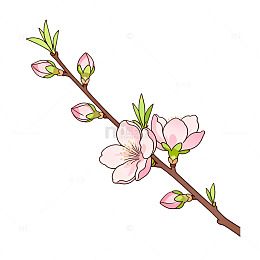 手绘风桃花枝条插画设计素材